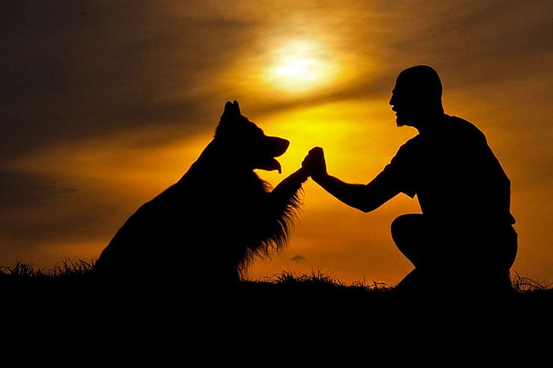 HD-wallpaper-be-my-dogfriend-friend-best-sunset-man-dog.jpg